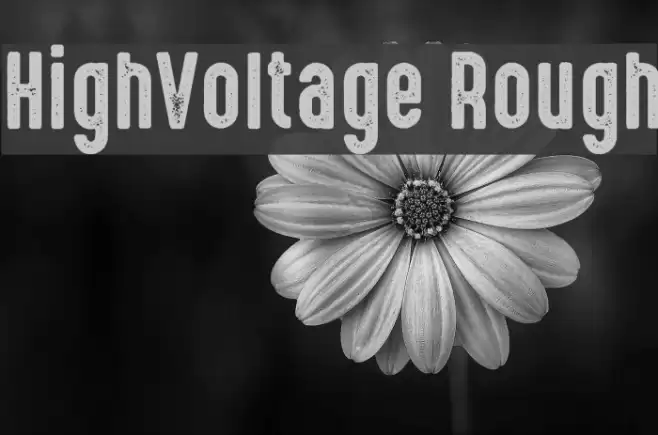 HighVoltage Rough Schriftart examples