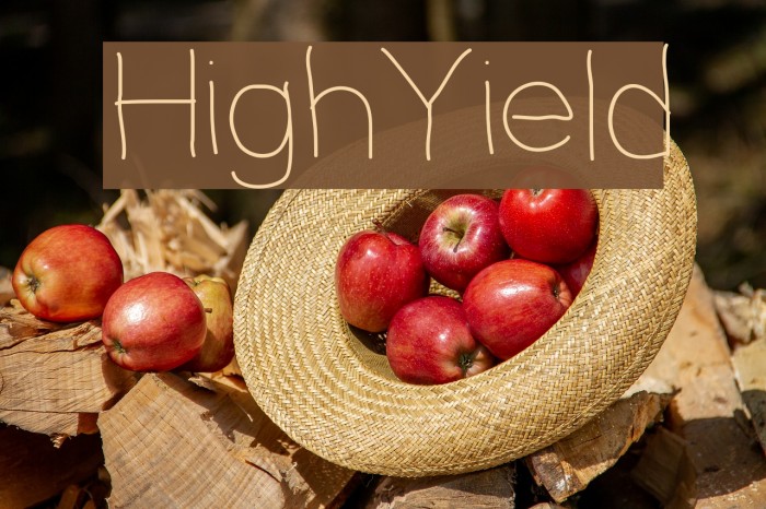HighYield Font examples