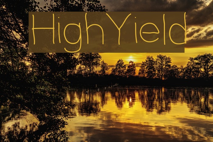 HighYield Font examples