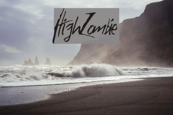 HighZombie Example 1