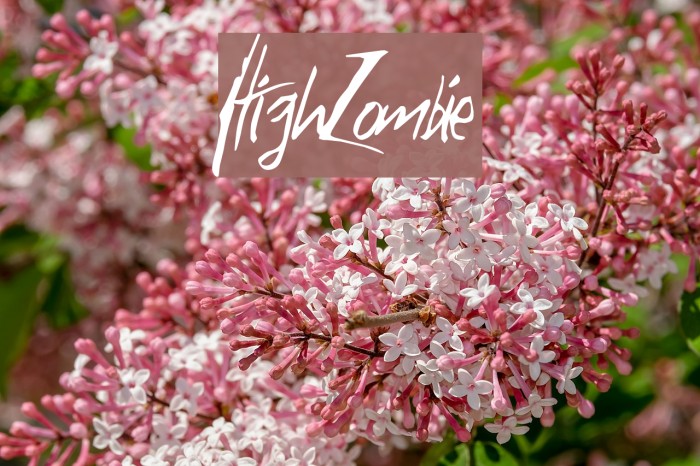 HighZombie Font examples