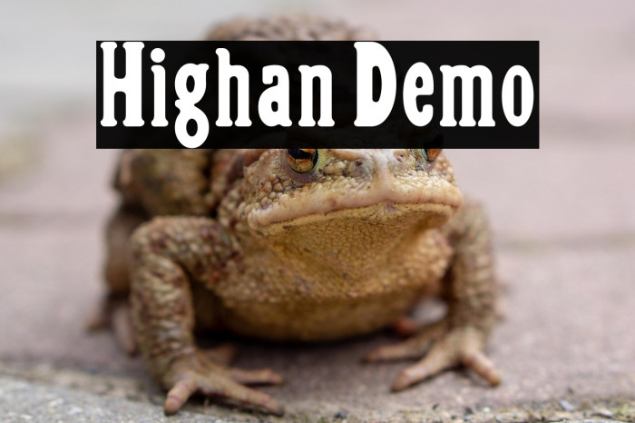 Highan Demo Example 1