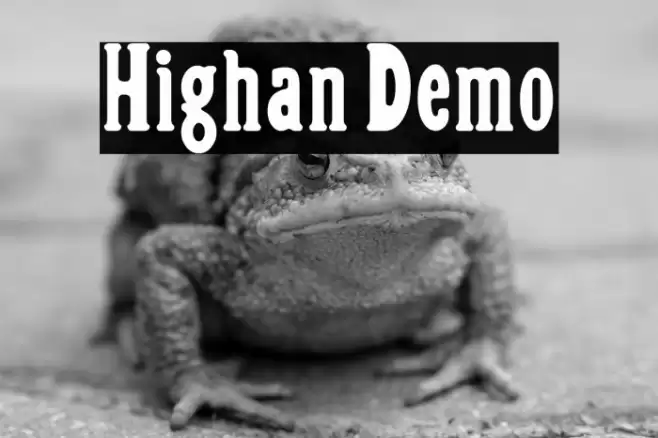 Highan Demo Font examples