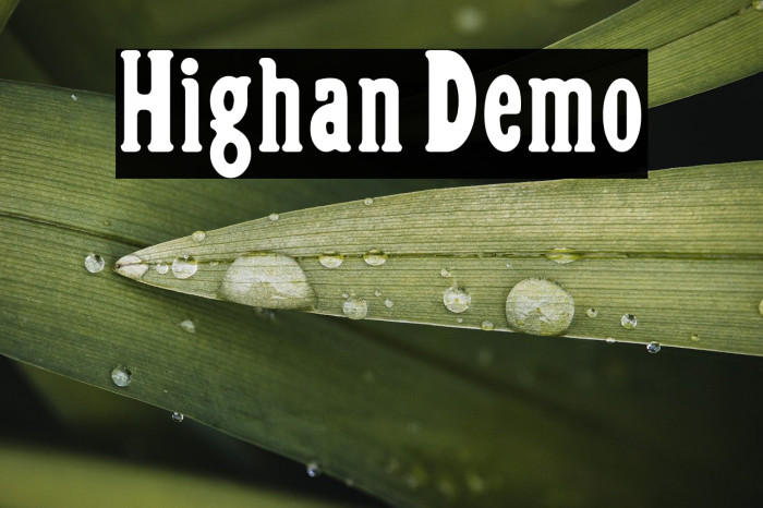 Highan Demo Example 2