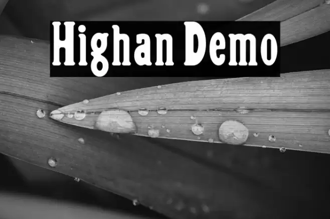 Highan Demo Font examples