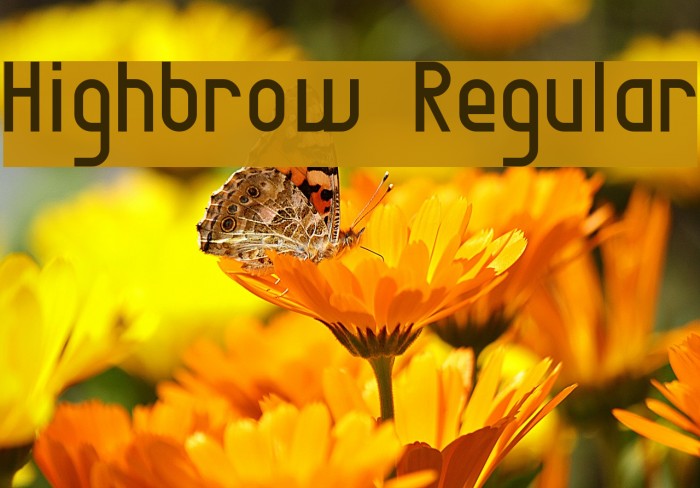 Highbrow Regular Font examples