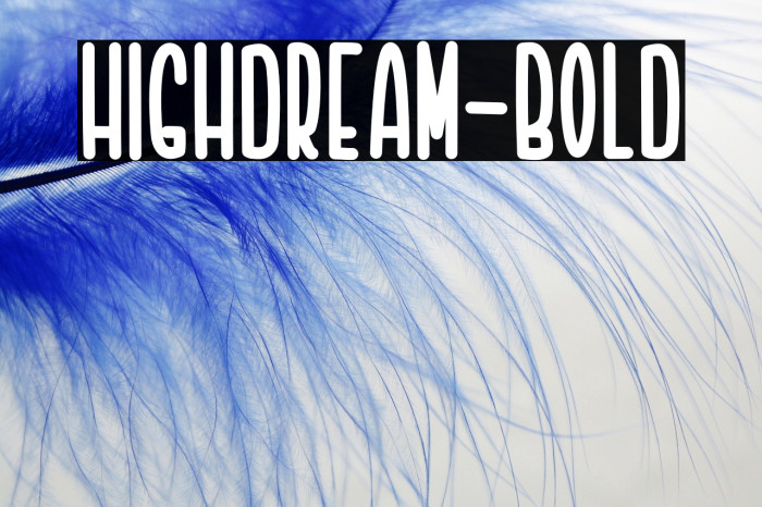 Highdream-Bold Example 1
