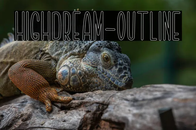 Highdream-Outline Example 2