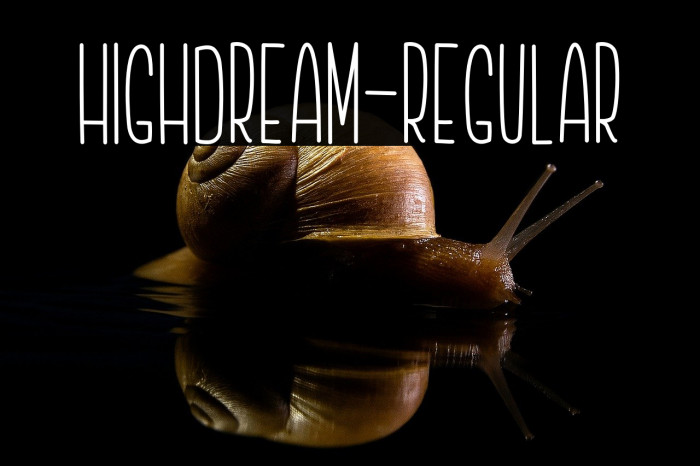 Highdream-Regular Example 1