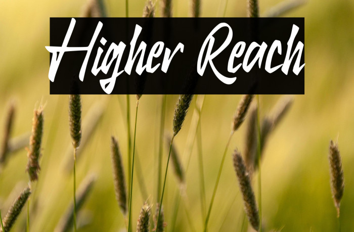 Higher Reach Example 3
