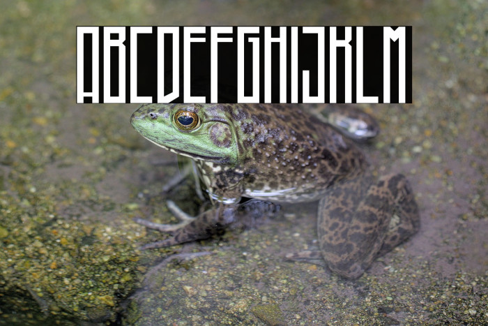 Higher(RUS BY LYAJKA) Example 3