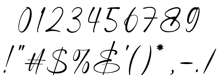 Highes Signature Font OTHER CHARS