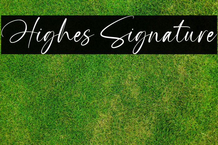 Highes Signature Example 1