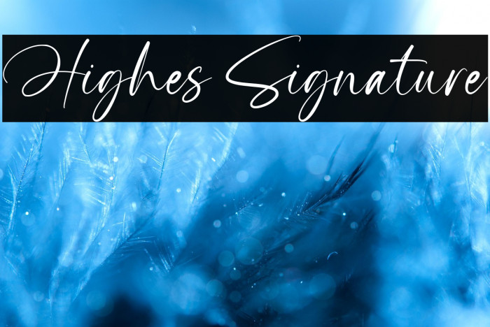 Highes Signature Example 3