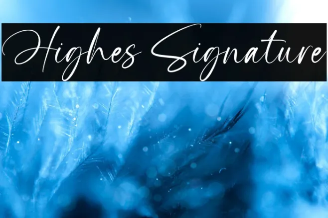 Highes Signature Example 3