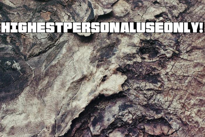 Highest PERSONAL USE ONLY! Example 1