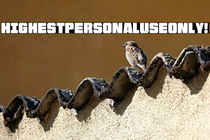 Highest PERSONAL USE ONLY! Example 3