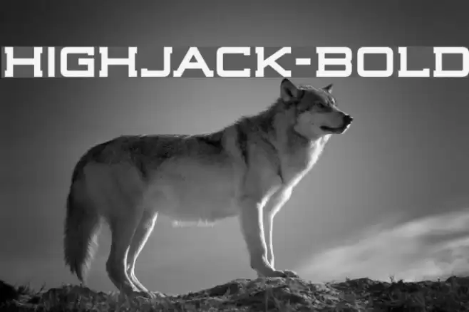 Highjack-Bold Font examples