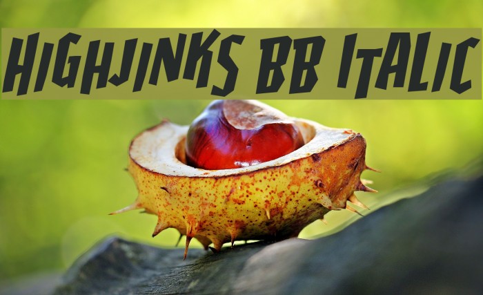 Highjinks BB Italic Example 2