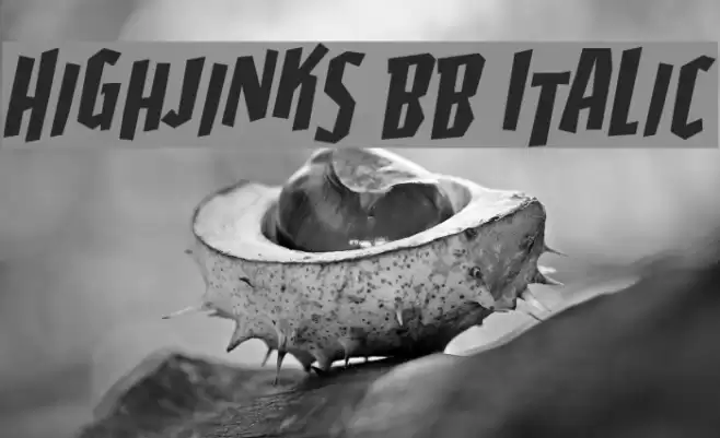Highjinks BB Italic Font examples