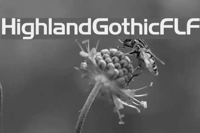 HighlandGothicFLF Font examples
