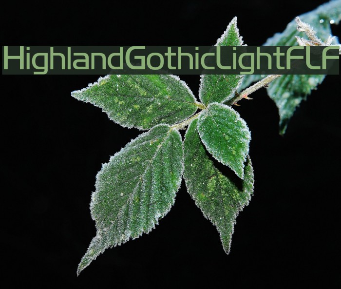 HighlandGothicLightFLF Font examples