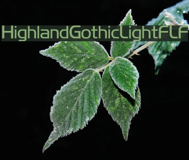 HighlandGothicLightFLF Example 3