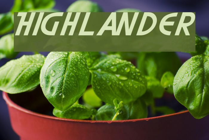 Highlander Font examples