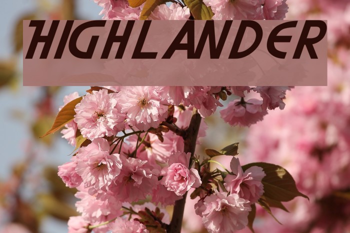 Highlander Font examples