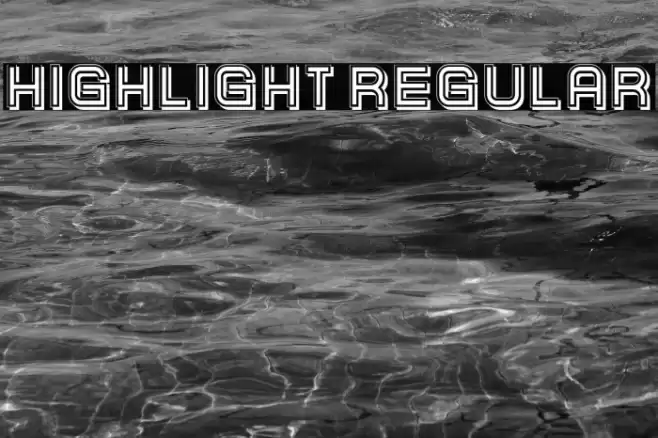 Highlight Regular Font examples