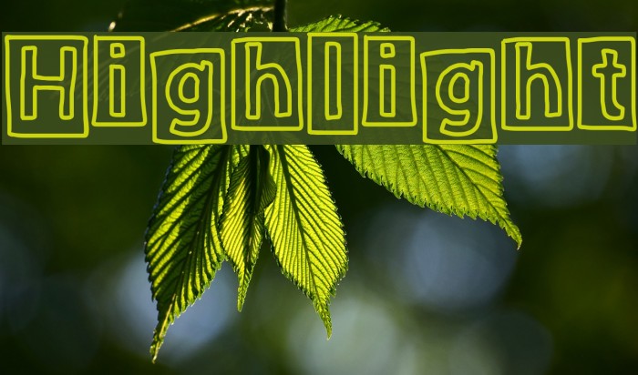 Highlight Font examples