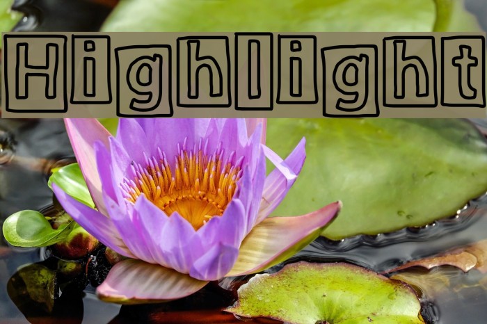 Highlight Font examples