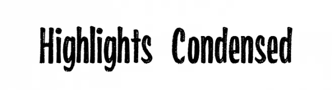 Highlights Condensed 