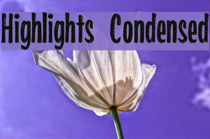 Highlights Condensed Font examples