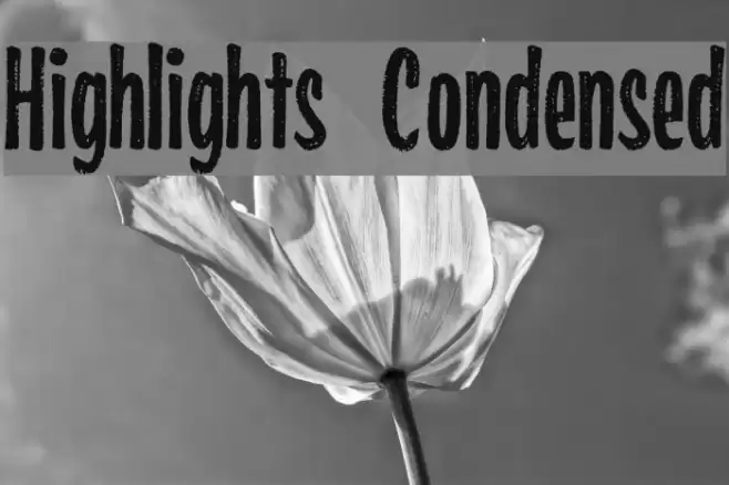 Highlights Condensed Fonte examples