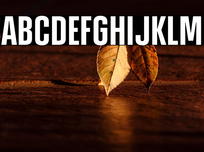 HighmanTrial-Regular Example 1