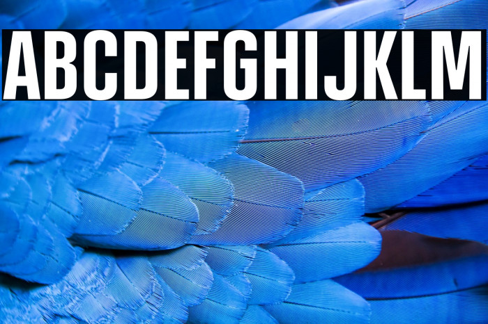 HighmanTrial-Regular Example 3