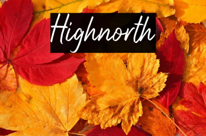 Highnorth Example 1