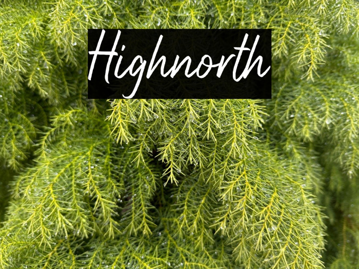 Highnorth Example 3
