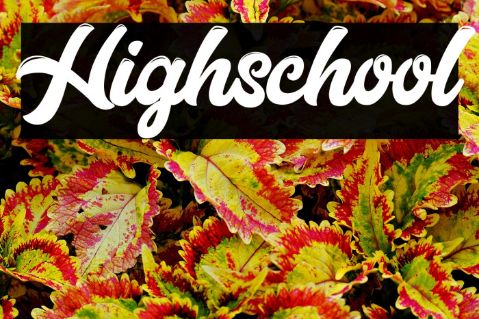 Highschool Example 2