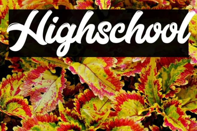 Highschool Example 2
