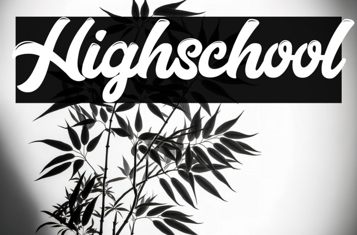 Highschool Example 3