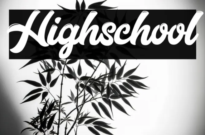 Highschool Example 3