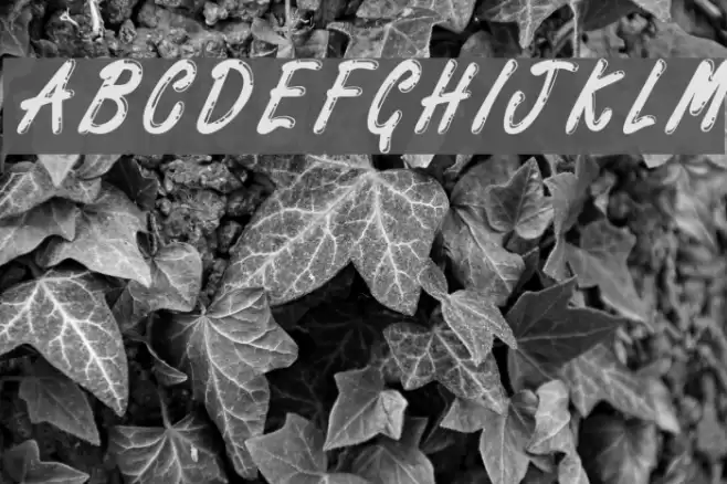 Highstakes Regular Font examples