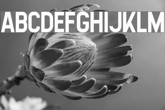 Highstories Sans Font examples