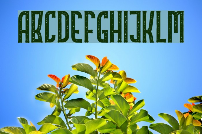 Highstories4 Example 1