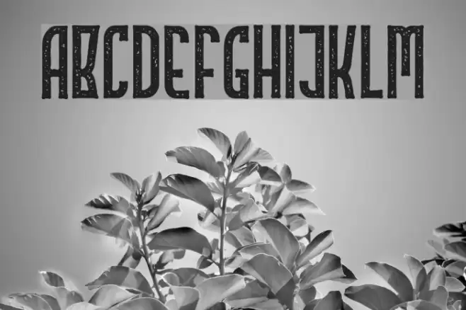 Highstories4 Font examples