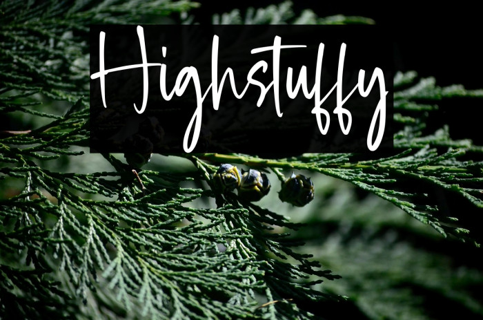 Highstuffy Caratteri examples