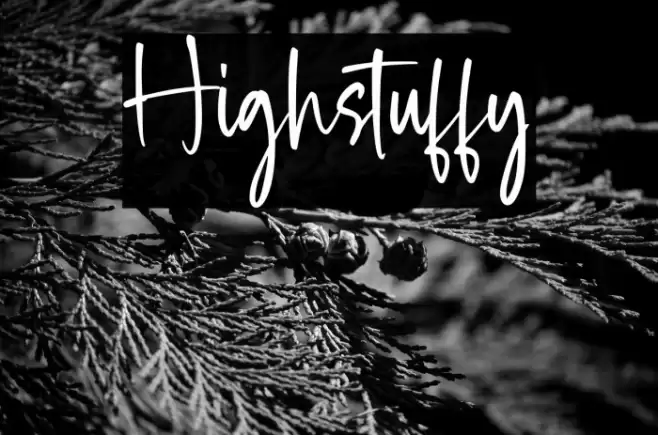 Highstuffy 字体 examples