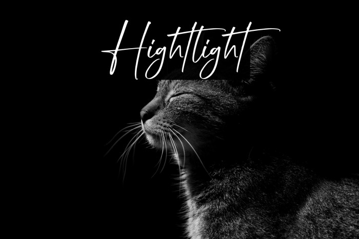 Hightlight Example 1